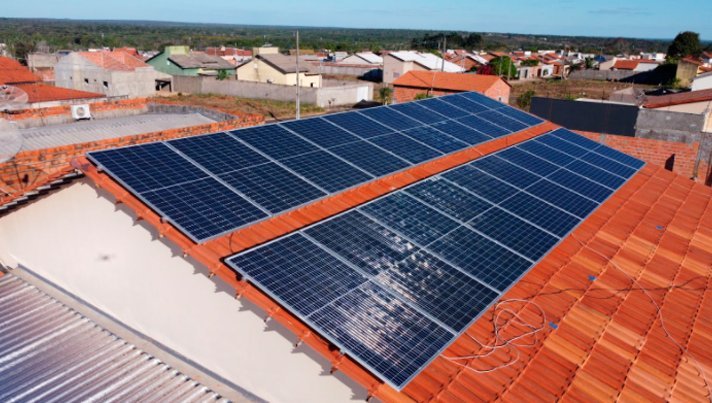 Qual a importância da energia solar para as plantas?