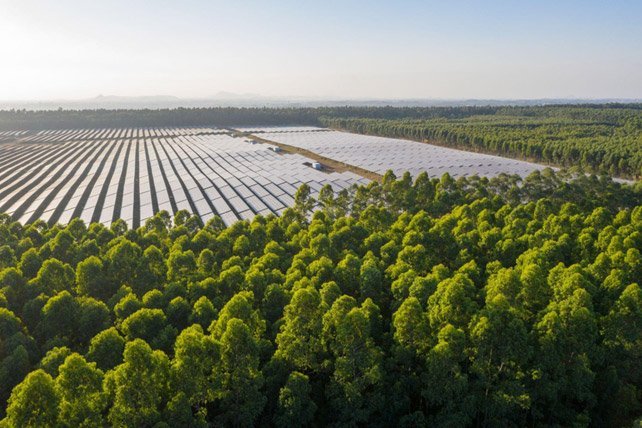 parque com energia solar 