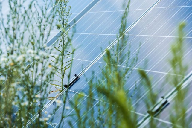 Energia solar para diferentes negócios - SUNO SOLAR