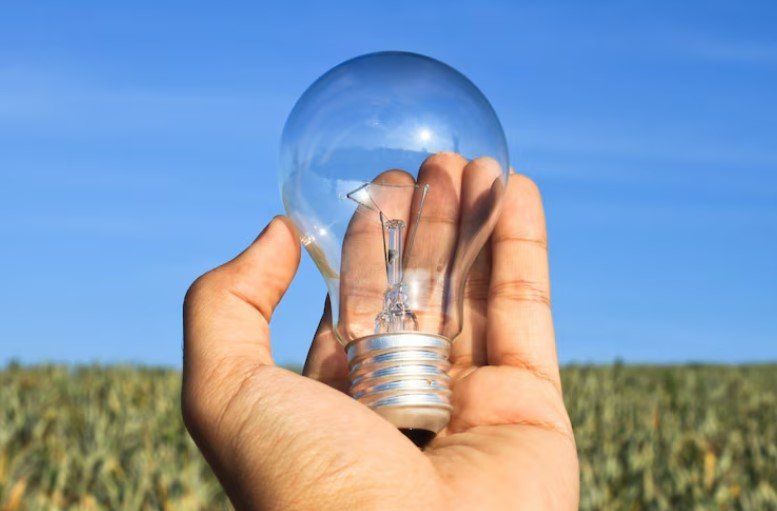 Agrovoltaico: energia solar e agricultura no mesmo espaço