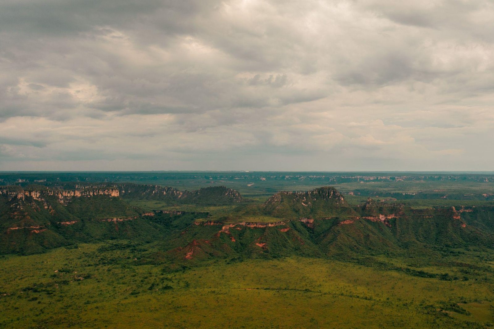 Energia solar no agronegócio do Tocantins: vale a pena?